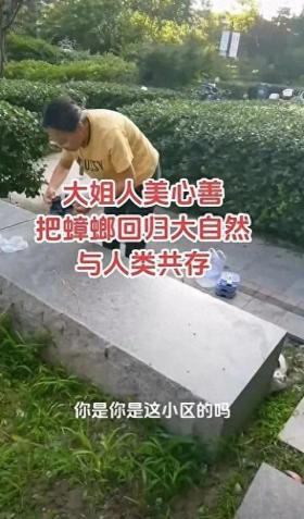 女子在小区放生多盒蟑螂？被业主制止时反怼“你凭什么拍”-图1