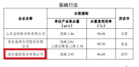 滨州两家企业入选2024年度重点行业省级水效“领跑者”名单-图2