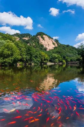 全国避暑消夏好去处，辽宁3地榜上有名！-图2