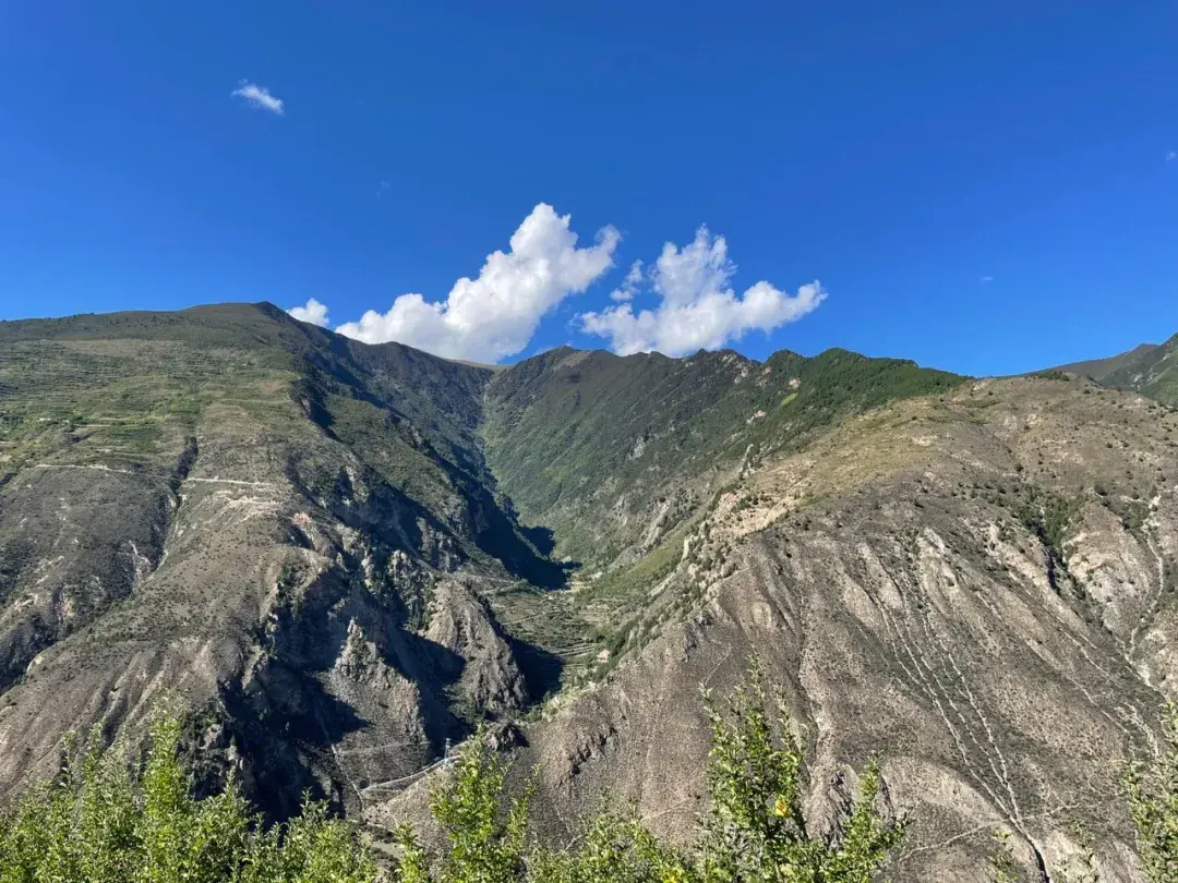 有特别的阳光味道，藏地高原青苹果；丹东芒果油桃，皮脆肉嫩，只卖20天-图7